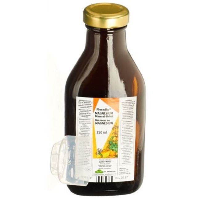 Floradix Magnesium Mineral Drink 250мл