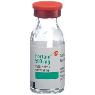 FORTAM TROCKENSUB 500MG