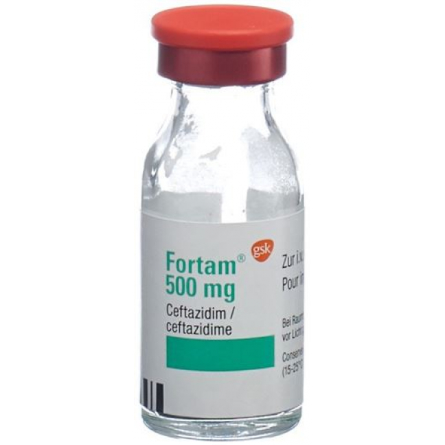 FORTAM TROCKENSUB 500MG