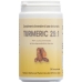 TURMERIC 25:1 TABL 250 MG 300