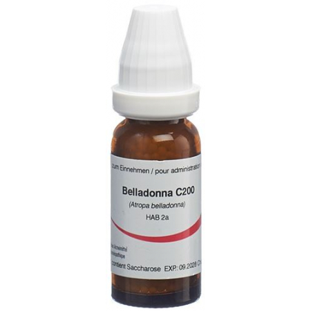 OMIDA BELLADONNA GLOB C 20