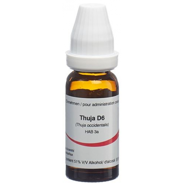 OMIDA THUJA 6D