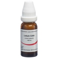 OMIDA LEDUM GLOB C 200 14 OMIDA LEDUM GLOB C 200 14