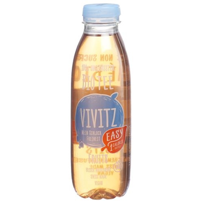 VIVITZ BIO TEE EASY FRUITS