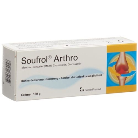 SOUFROL ARTHRO