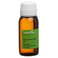 SN RIBES NIGRUM BG GLYC MAZ D1 SN RIBES NIGRUM BG GLYC MAZ D1