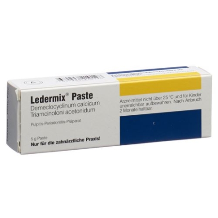 Ledermix 5 g Paste