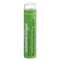 SN RHUS TOXICODENDRON CH30