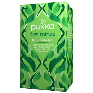 PUKKA DREI MINZE TEE BIO