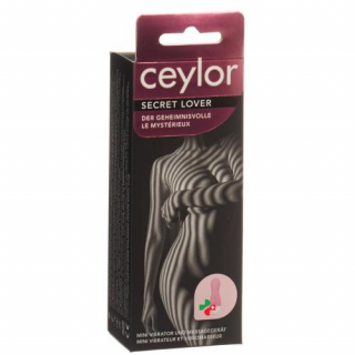 CEYLOR SECRET LOVER MINI VIBRA