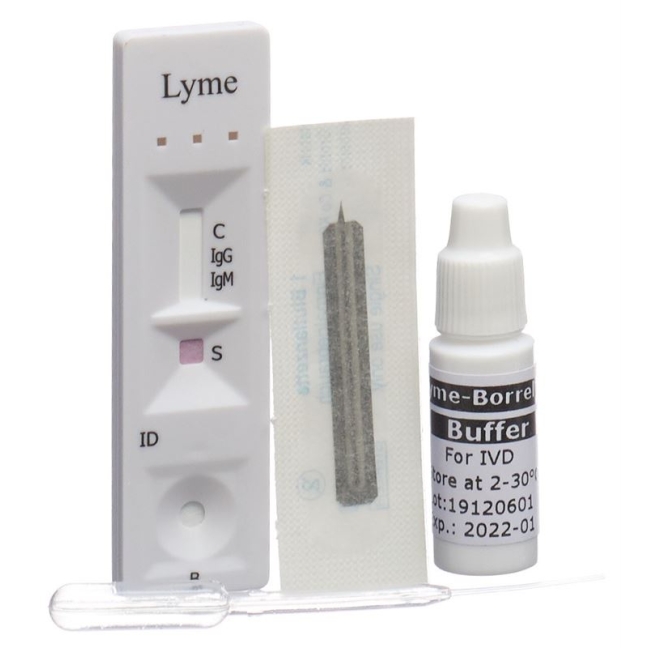 WILLI FOX Lyme-Borreliose Schnelltest