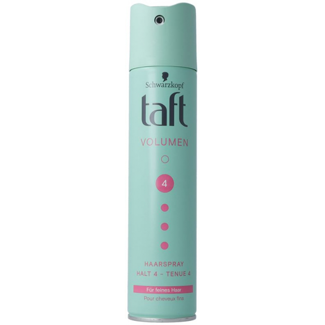 TAFT Wahres Volumen Hairspray