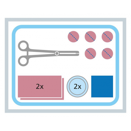 MEDISET Haut-Desinfektions-Set 478720