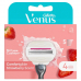 GILLETTE Venus Comf Klingen Strawb Edit (n)