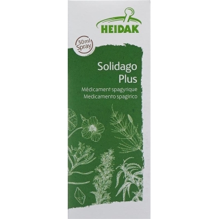 Heidak Spagyrik Solidago Plus Spray Flasche 30ml