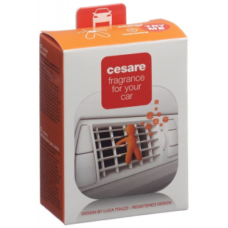 Joy Duftmaennchen Auto Cesare Orange Energy