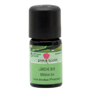 Damascena Laerche Ätherisches Öl Bio Flasche 5ml