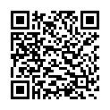 QR Lactona Interdentalburste No 27