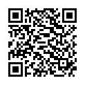 QR IDEAL ALLES IN EINEM SMARAGD