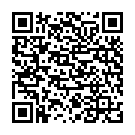 QR IVF Sicherheitsnadeln 38мм размер 2 пакетика 12 штук