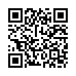 QR Sahag Bernsteinkette 35см