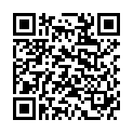 QR HAUSMANN PINZETTE SPITZ POLIER