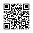 QR Фруктовые 30 пастилок 