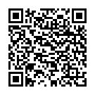 QR Delufix Schnellputzling F Silber U Edelstahl 6 штук