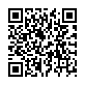 QR Буарон Бриония гранулы CH 30 4 г