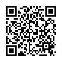 QR Sidroga Teexpress Fruchte Fuchs 15 штук