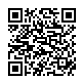 QR Syoss Blond Aufheller Kreativset H1