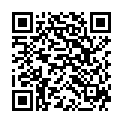 QR HOLLE LEINSAMEN GESCHROTET BIO