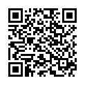 QR Spagyrik Equisetum Arvense 500мл