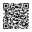 QR MEDIDOR 12-KAMMERN MANSCHETTEN