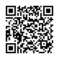 QR TENA FIX ORIG L FIXIERHOSEN