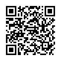 QR ELEKTROTOM HANDSCHALTUNG S