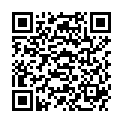 QR HOLLIST PREM ILEO KARA FILT 38