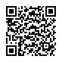 QR HOLLIST PREM ILEO KARA FILT 51