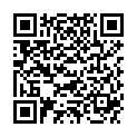 QR BUTSCH GIPSSCHERE STILLE 37CM