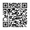 QR BUTSCH GIPSSCHERE STILLE 23CM