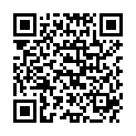 QR PARI ZUSATZAKKU ZU WALKBOY