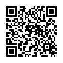 QR HEINE LADEGRIFF BETA NT 3.