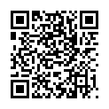 QR BOSO MEDISTAR BLUTDRUCKMES