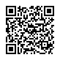 QR MEDIDOR LANG-ARM MANSCHETTE 1