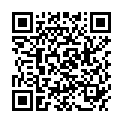 QR Стабильный ортез LumboLoc, размер 1, титан