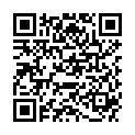 QR MEDIDOR THERAPIE KREISEL HOLZ