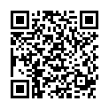 QR BORT STABILO RUECKBDGE O PELXL