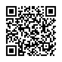 QR Стабильный ортез LordoLoc, размер 1, титан