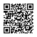 QR SPAGYRIK TARAXACUM OFFICINALIS