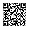 QR HUMAPEN SAVVIO PEN INSULI GRUE